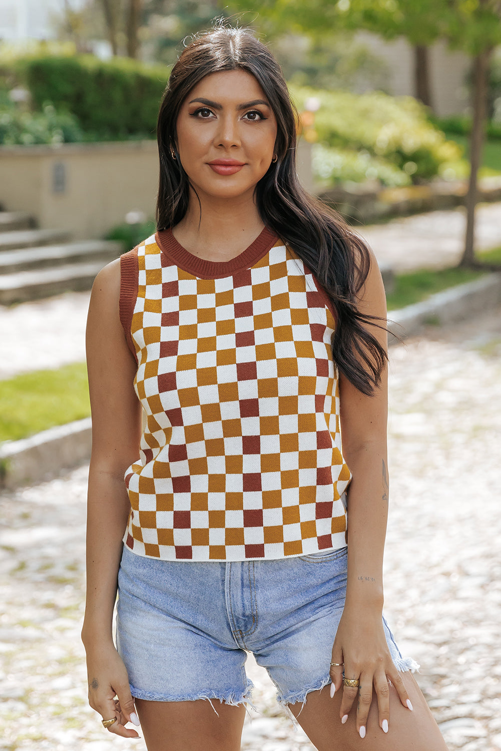 Brown Checkered Ribbed Trim Knit Sweater Vest